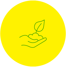 bfc
