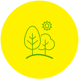 bfc
