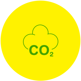 bfc