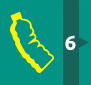 bfc
